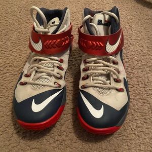 Lebron Basketball Shoes